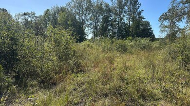 0 Waynesboro Hwy unit 25177409, Sylvania, GA 30467 - photo 2