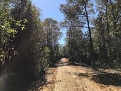 43056 Bateman Rd, Franklinton, LA 70438 - photo 7