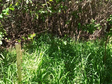 Pepper trees, easy clearance...