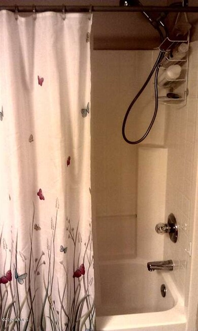Main Bath tub and shower.