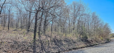 12 Lenna Rd, Eufaula, OK 74432 - photo 4