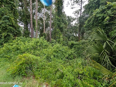 00 SE 1st Ave, Keystone Heights, FL - photo 5