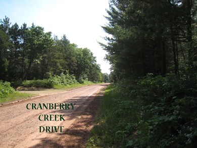 Lot 39 Cranberry Creek, New Lisbon, WI 53950 - photo 2