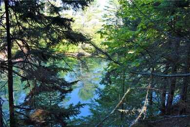 View from water's edge on property.