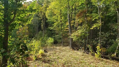 000 Briar Ridge Rd, Ramseytown, NC 28714 - photo 5