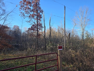 VL Marcellus Hwy, Marcellus, MI 49067 - photo 3