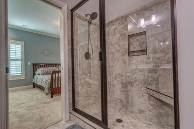 Primary Shower