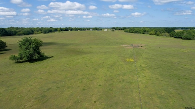 2729 Texas 37, Mount Vernon, TX 75457 - photo 6