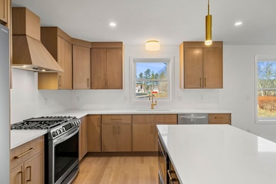 17 Lily Ln, Londonderry, NH 03053 - photo 5