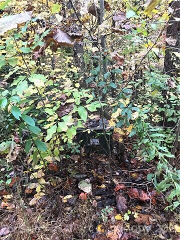 Lot 13 Echo Ln S unit 13, Old Fort, NC 28762 - photo 3