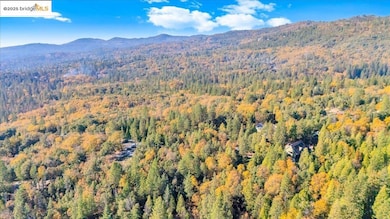 22919 Lazy Z Ln, Sonora, CA 95370 - photo 7