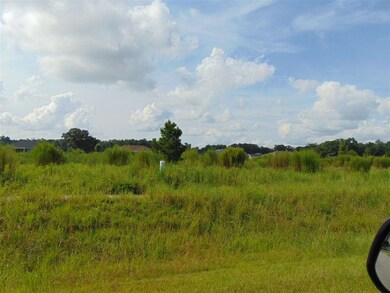 0 Conservation Way unit 297451, Crawfordville, FL 32327 - photo 2