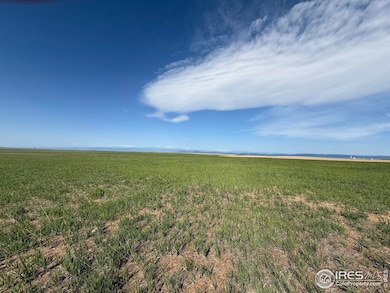 3 Tbd Lot B Ffd25-0006 Wcr 15, Carr, CO 80612 - photo 5