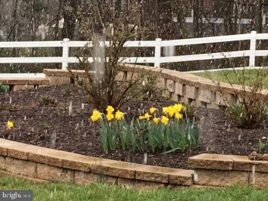 676 Timberland Manor Dr, Bentonville, VA 22610 - photo 4