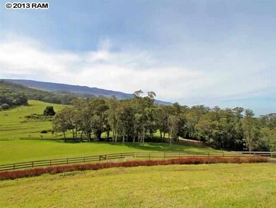 2000 Olinda Rd, Makawao, HI 96768 - photo 4