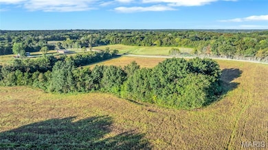 Bird's eye view of a heavily wooded area
