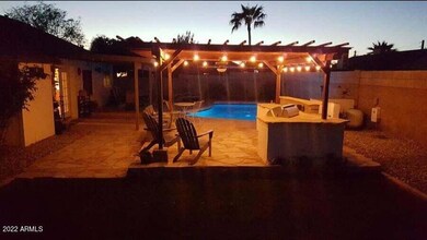 Backyard Oasis