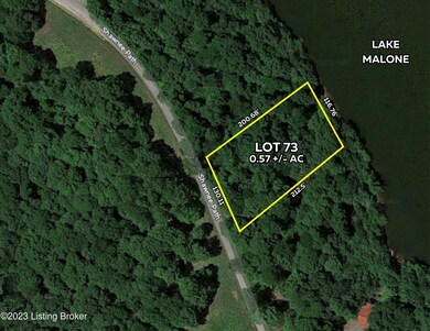 Lot 73 Aerial