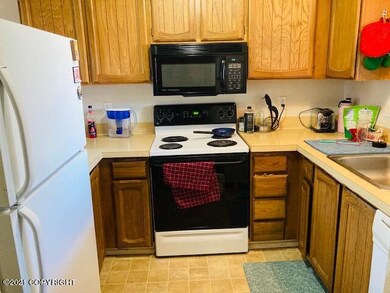 IMG_2115