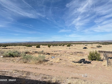 8 N6420, Saint Johns, AZ 85936 - photo 3