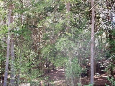 580 Victoria Dr, Rutland, VT 05701 - photo 2