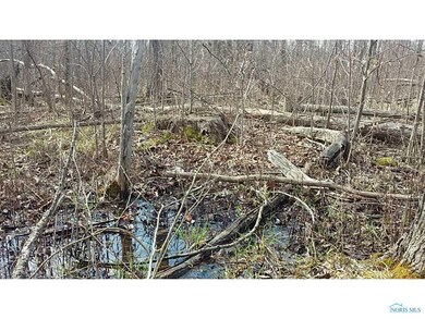 Land. Stream runs through property
