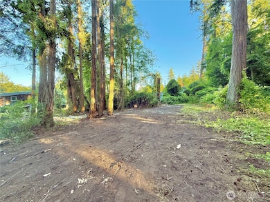 0 Lot 2 Enchanted Forest Rd, Orcas Island, WA 98245 - photo 4