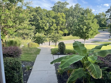 View from the front porch looking out onto the quiet circle! No thru traffic!