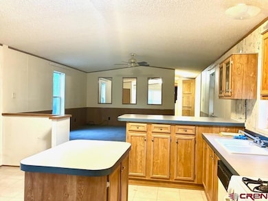 9 Palomino Dr, Durango, CO 81301 - photo 7