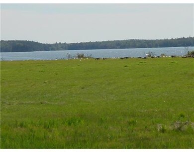 Water view. Gulls on the edge of the...