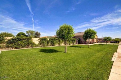 Beautiful Lawn