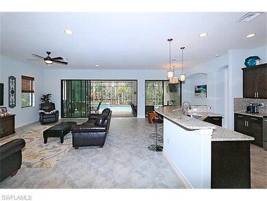 Living Room & Kitchen Counter