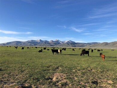 TBD Chute Canyon E, Lima, MT 59739 - photo 5