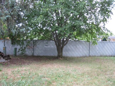 fenced back yard