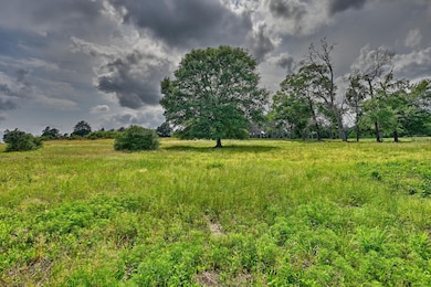 17718 Tranquil Ln, Cat Spring, TX 78933 - photo 3