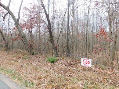 5 (P8) Brights Rd, Gretna, VA 24557 - photo 6