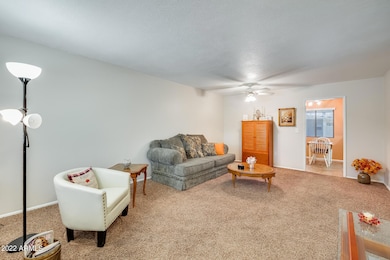 10927 W Santa fe Dr unit 14, Sun City, AZ 85351 - photo 7