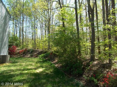 206 Woodfield Dr, Spotsylvania, VA 22553 - photo 3