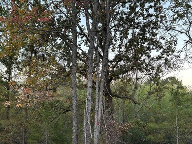 121 Mississippi 9w, Oxford, MS 38655 - photo 7