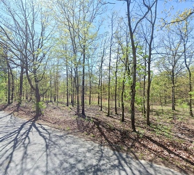 0 David Hall Blvd, Eucha, OK 74342 - photo 3