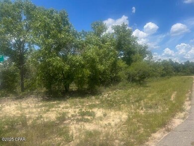 TBD Cachet Ct unit 9, Chipley, FL 32428 - photo 6