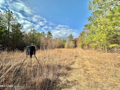 3 County Road 3122, McCool, MS 39108 - photo 7