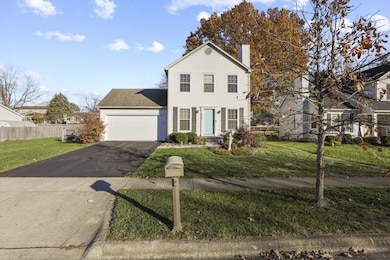 2-web-or-mls-939A7153