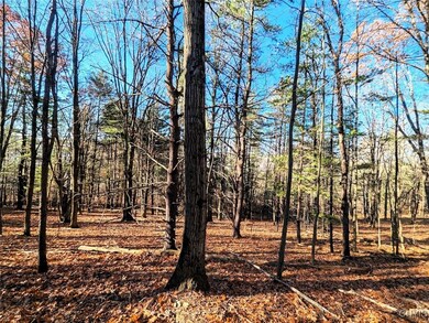 0 Two Rod Rd, Bath, NY 14810 - photo 6