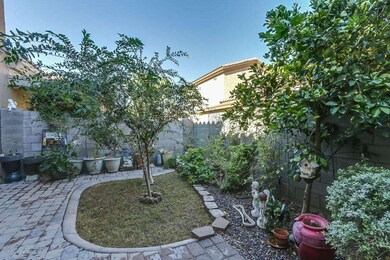 Plush Tropical Backyard