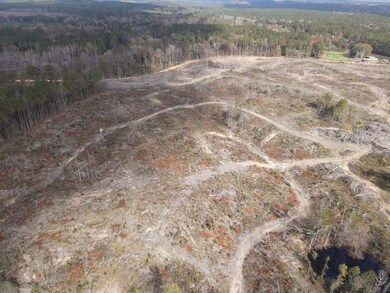 Tbd Allen Rd unit LotWP001, Meadville, MS 39653 - photo 7