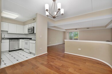 William Place unit 309, River Forest, IL 60305 - photo 6