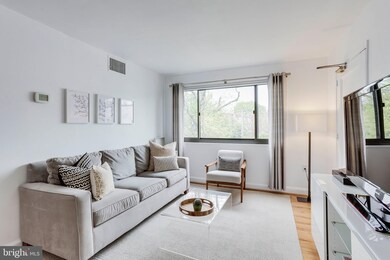 3817 Davis Place NW unit 6, Washington, DC 20007 - photo 7