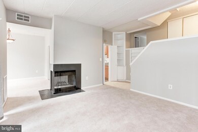11557 Rolling Green Ct unit 201, Reston, VA 20191 - photo 7
