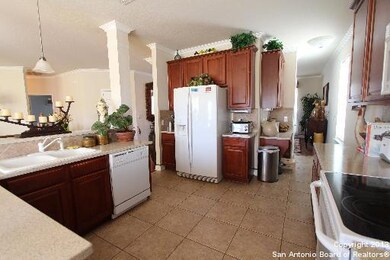 24919 Catalan Cliff, San Antonio, TX 78261 - photo 3